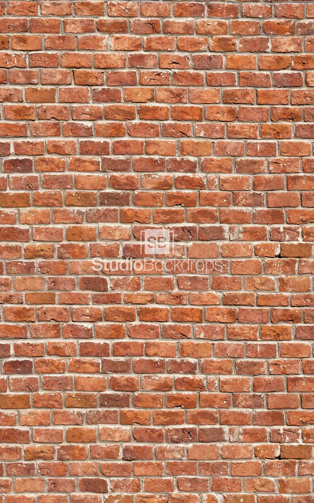 Traditional Brick Wall Photography Backdrop BD-236-STB