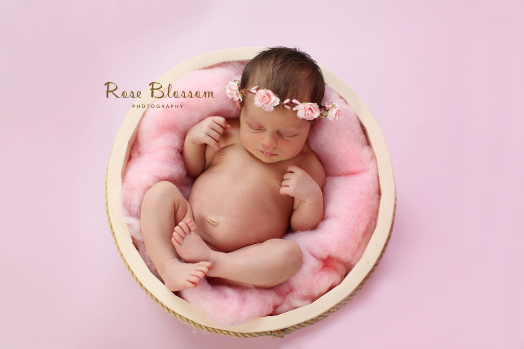 Baby Pink (Pantone 2050) Photography Backdrop BD-182-SOL