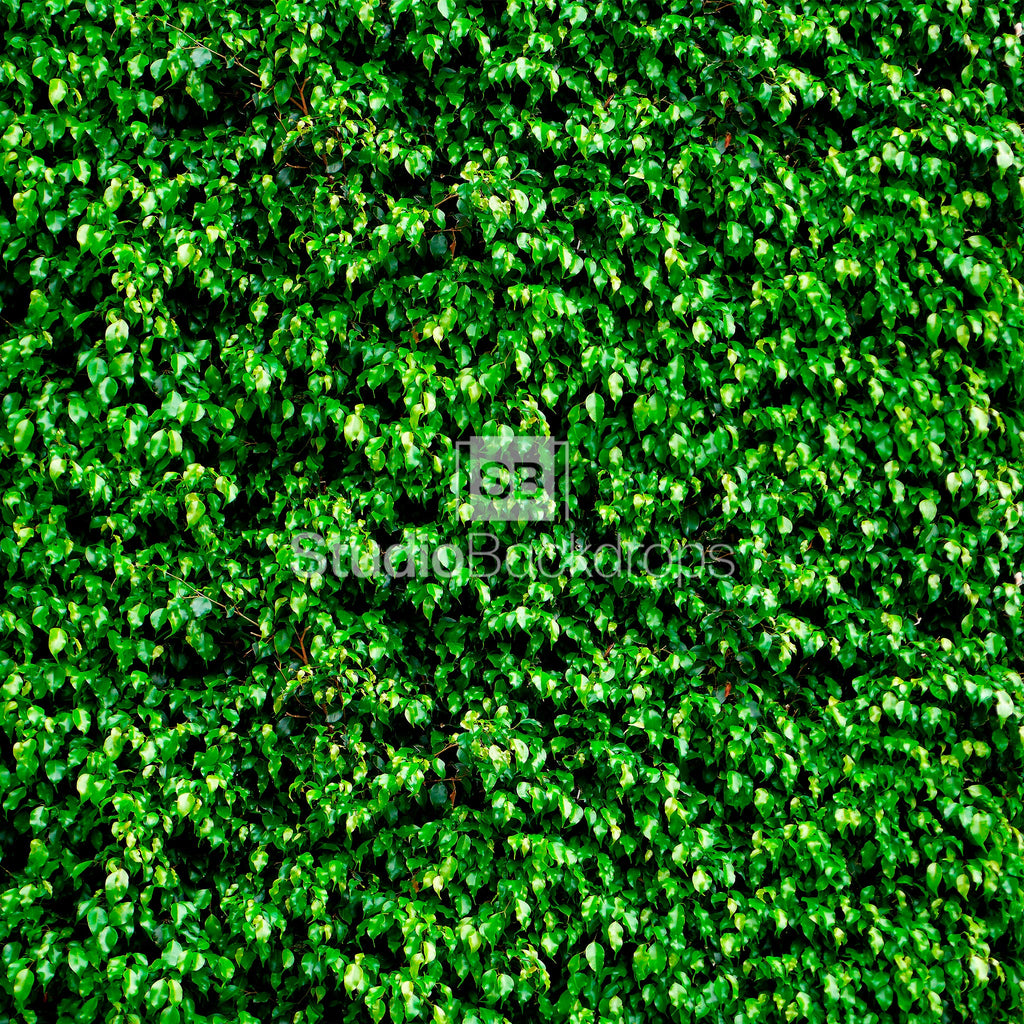 Green Leaves Photography Backdrop 
