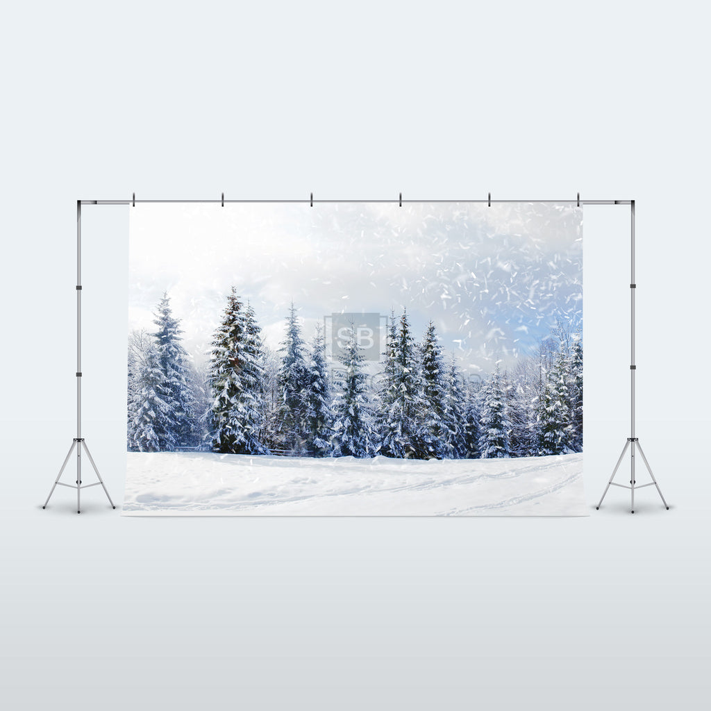 Winter Landscape with Snow Covered Trees Photography Backdrop BD-303-SCE Studio Backdrops