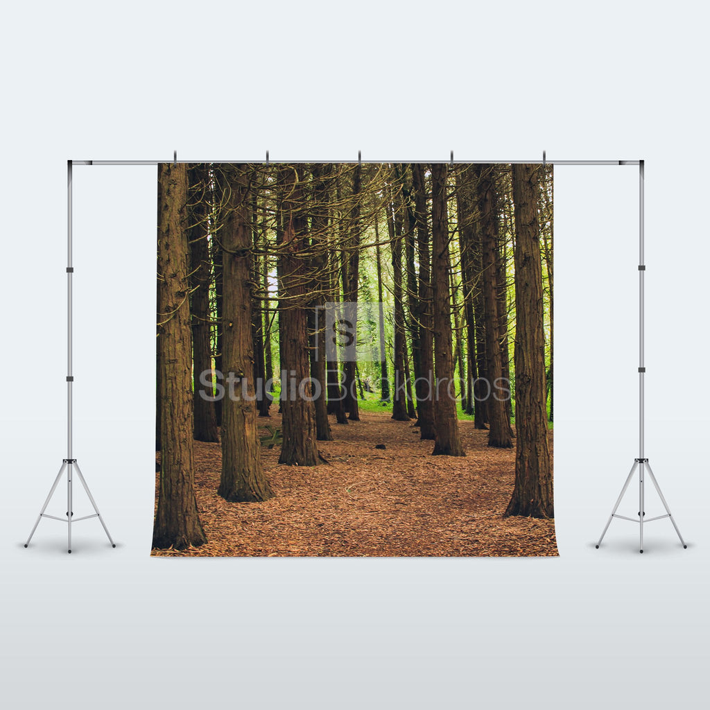 Woodland Forest Photo Booth Backdrop Studio Backdrops