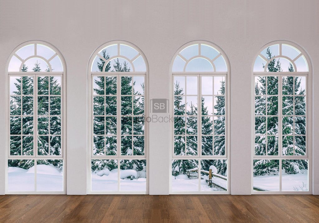 Snowy Trees Window Scene Photography Backdrop BD-274-SCE