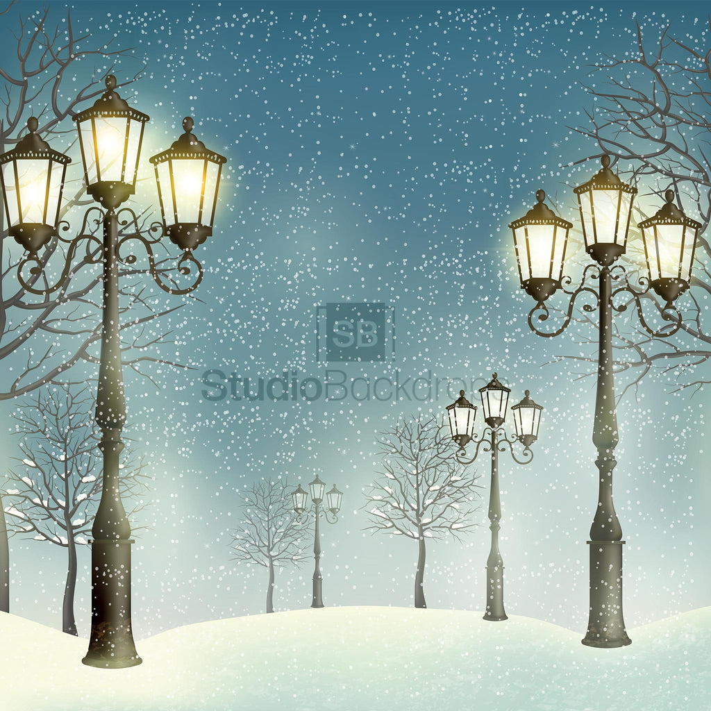 Lamp Posts Snow Scene Photography Backdrop BD-201-SCE