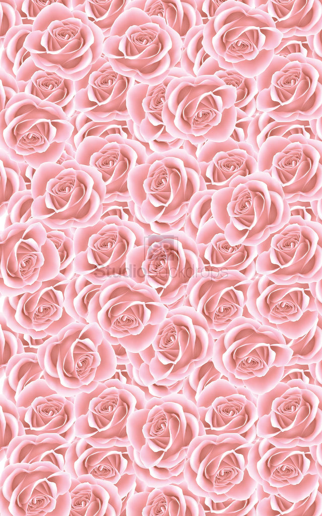 Pink Roses Photography Backdrop