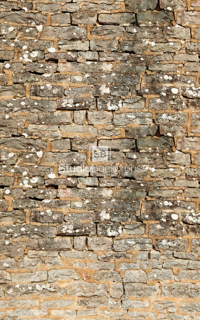 Old Stone Wall Photography Backdrop
