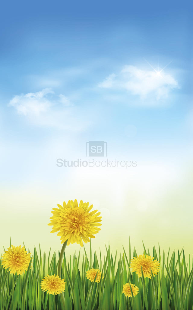 Spring Dandelions Photography Backdrop