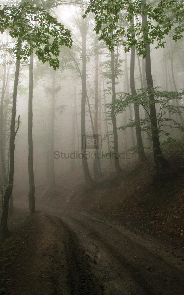 Foggy Forest Photography Backdrop