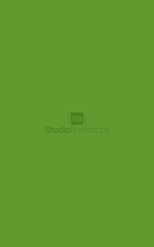 Green Grass (Pantone 369) Photography Backdrop BD-300-SOL