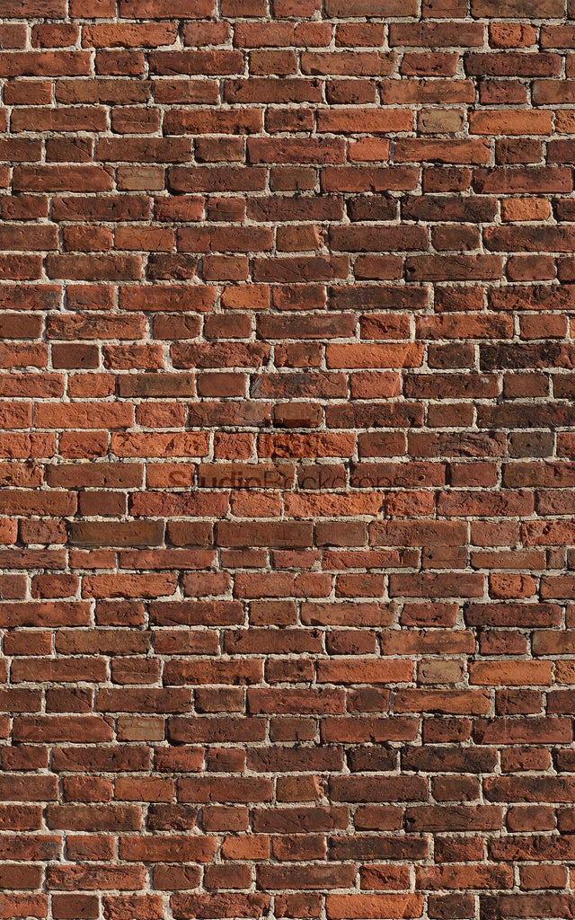 Vintage Red Brick Wall Photography Backdrop BD-192-STB