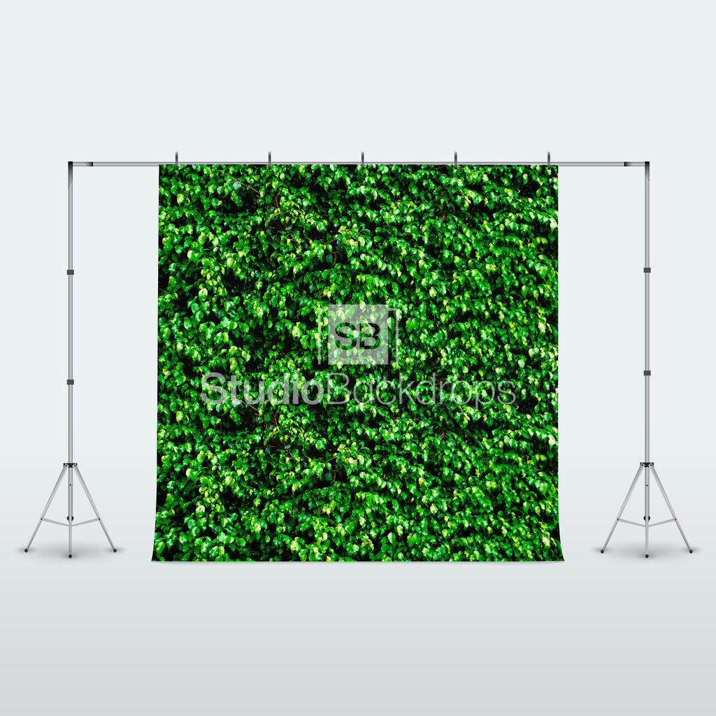 Green Leaves Photography Backdrop