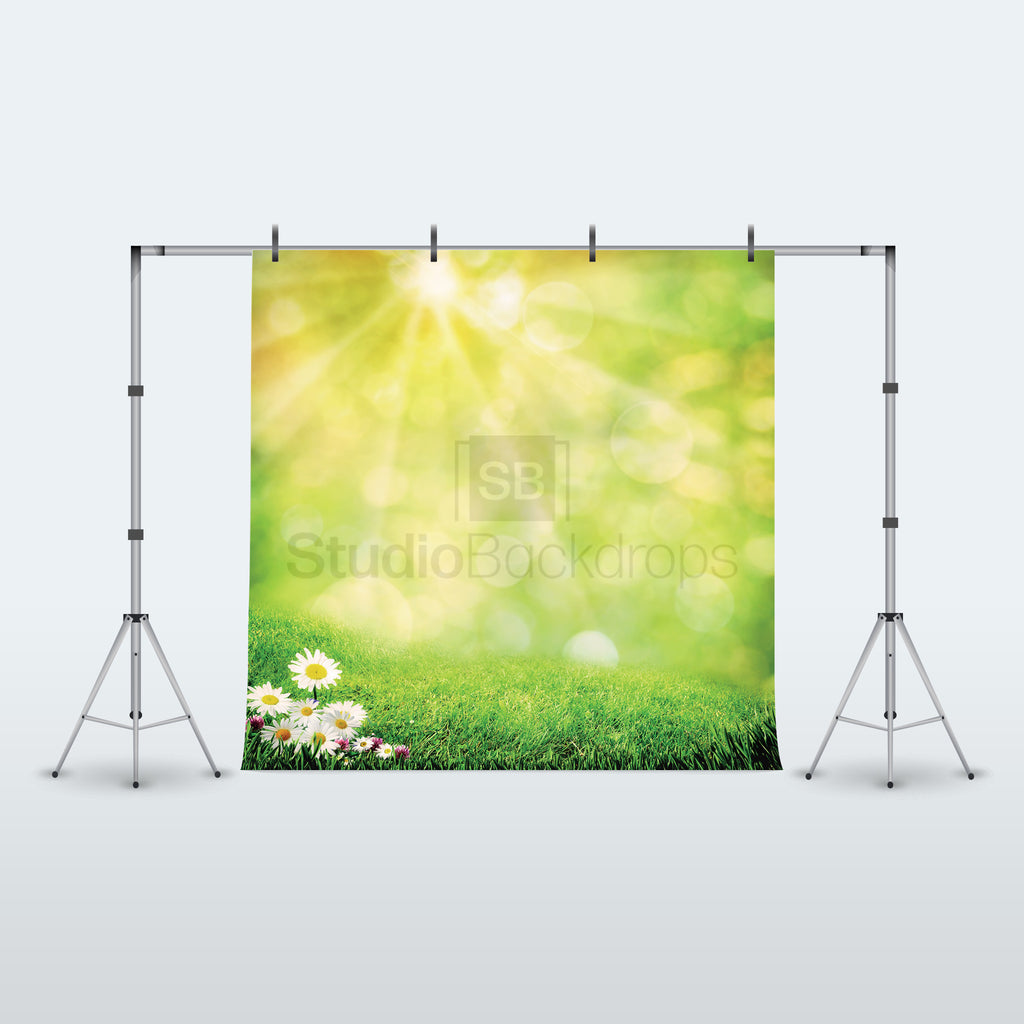 Summer Meadow Photography Backdrop