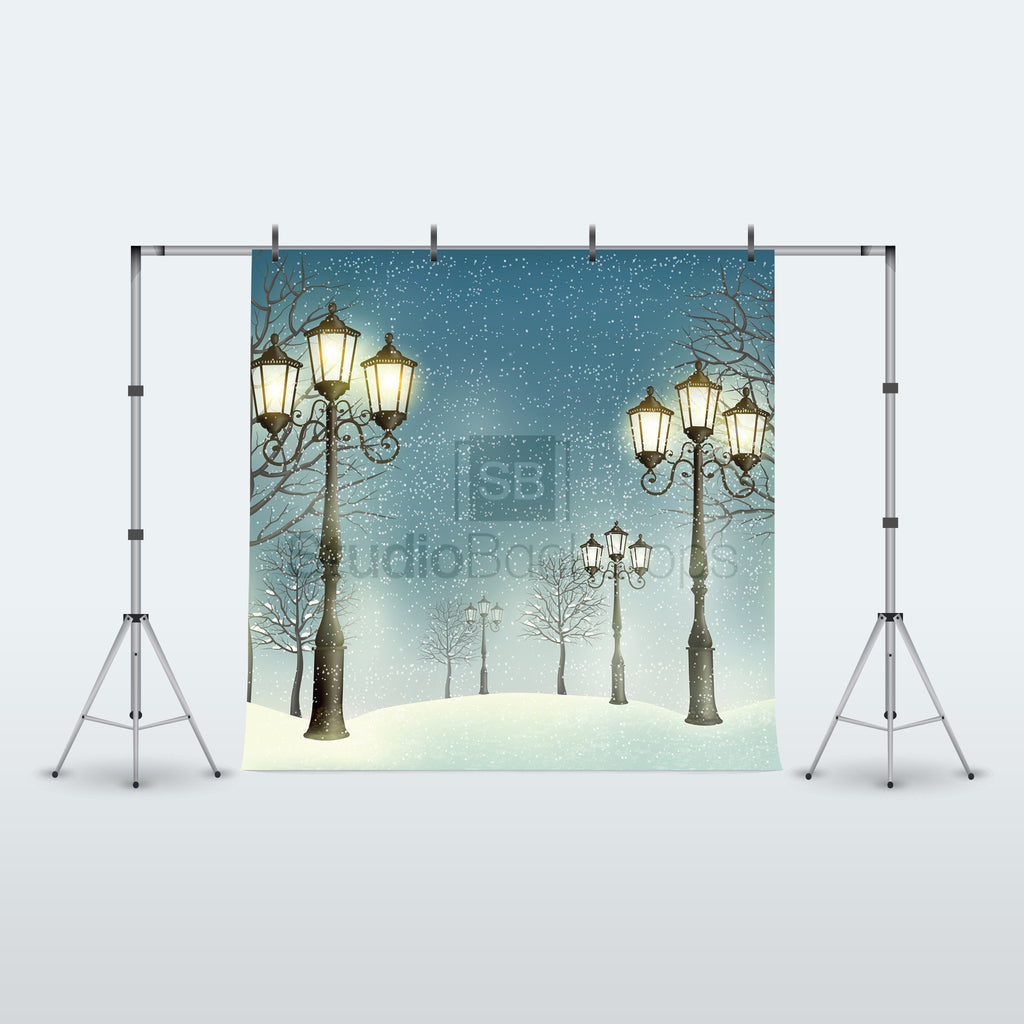 Lamp Posts Snow Scene Photography Backdrop 
