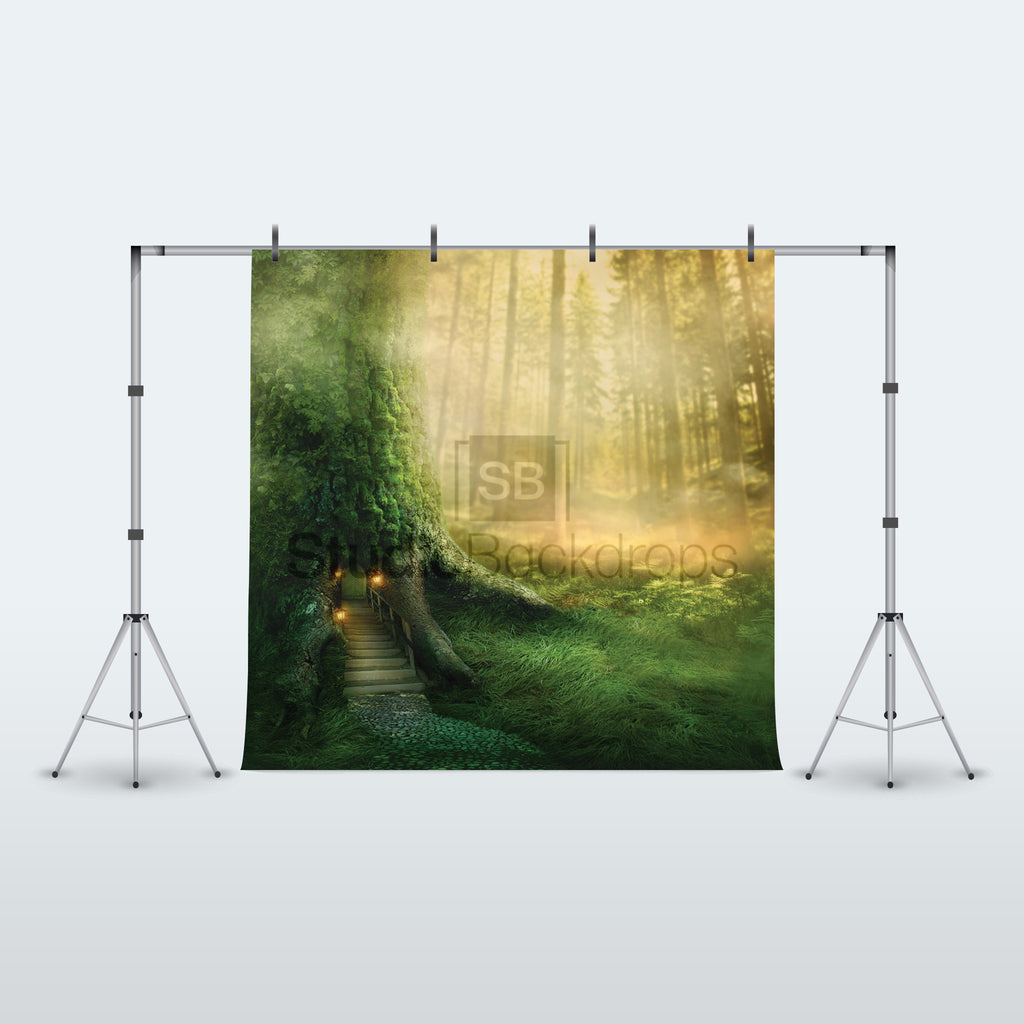Enchanted Forest Photography Backdrop