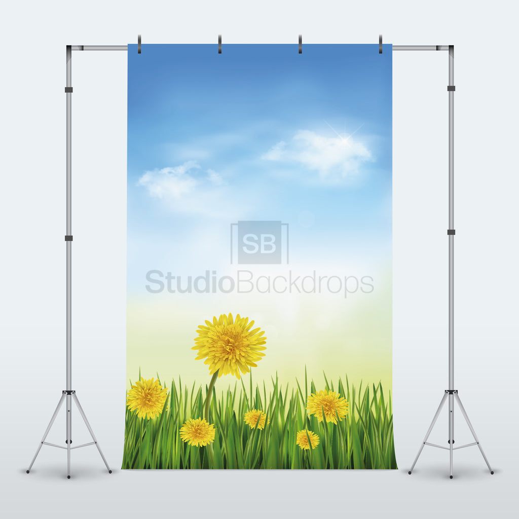 Spring Dandelions Photography Backdrop