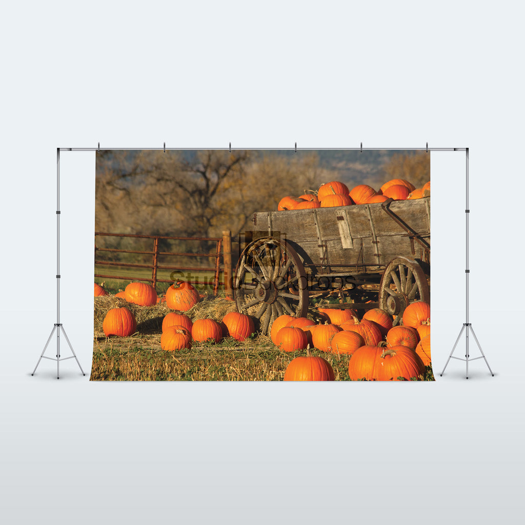 Pumpkin Cart Photography Backdrop BD-302-SCE