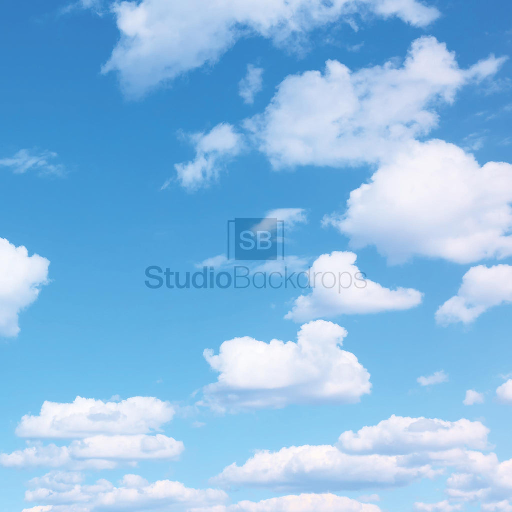 Studio Backdrops Blue Sky Clouds Photo Booth Backdrop BD-307-SCE